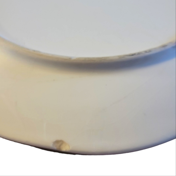 1 Vtg Sandpiper Pier 1 Imports Earthenware Plate - Picture 3 of 4